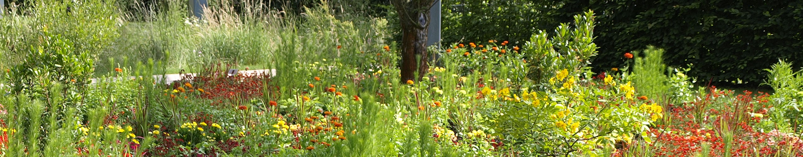 Kleingärtnerverein Eutin von 1948 e.V.